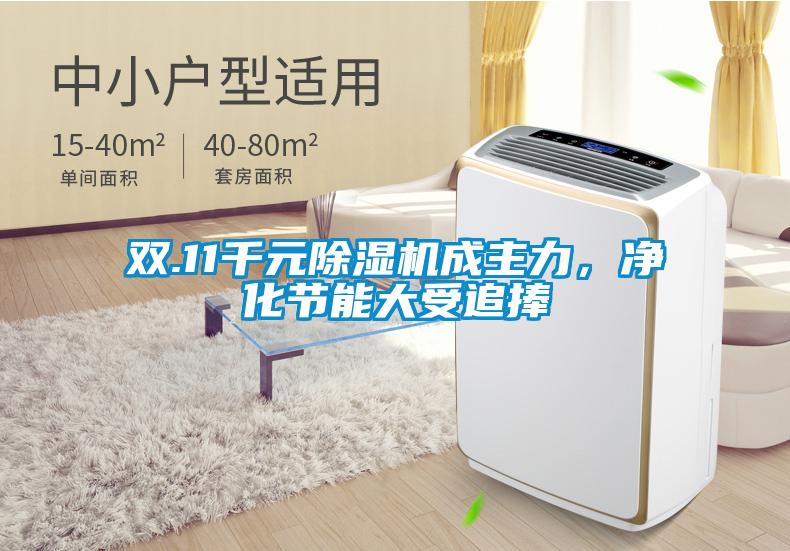 雙.11千元除濕機成主力，凈化節(jié)能大受追捧