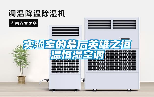 實(shí)驗(yàn)室的幕后英雄之恒溫恒濕空調(diào)