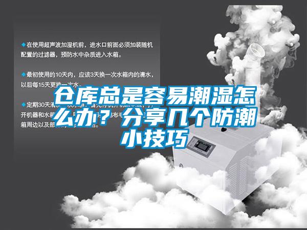 倉庫總是容易潮濕怎么辦？分享幾個防潮小技巧