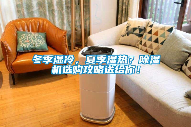 冬季濕冷，夏季濕熱？除濕機選購攻略送給你！
