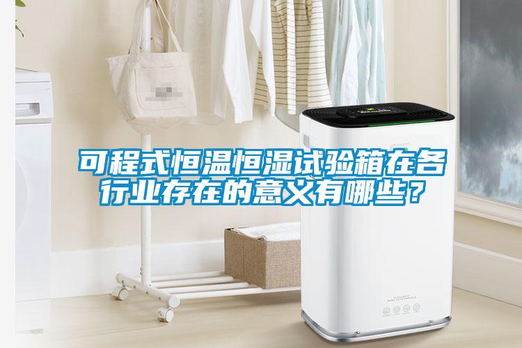 可程式恒溫恒濕試驗箱在各行業(yè)存在的意義有哪些？
