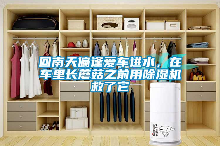 回南天偏逢愛(ài)車(chē)進(jìn)水，在車(chē)?yán)镩L(zhǎng)蘑菇之前用除濕機(jī)救了它
