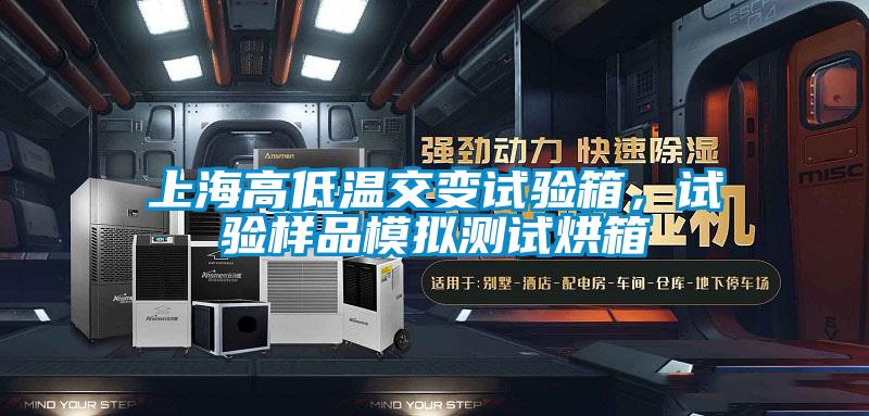 上海高低溫交變?cè)囼?yàn)箱，試驗(yàn)樣品模擬測(cè)試烘箱