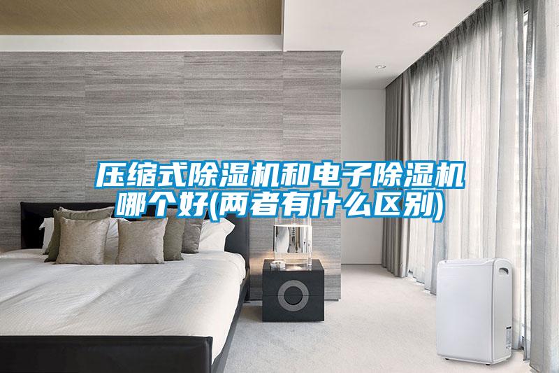 壓縮式除濕機(jī)和電子除濕機(jī)哪個好(兩者有什么區(qū)別)