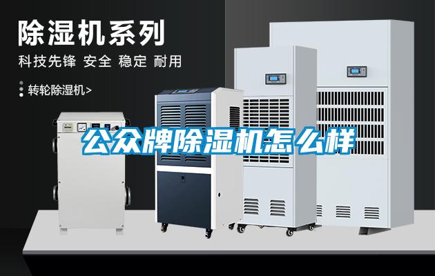 公眾牌除濕機怎么樣