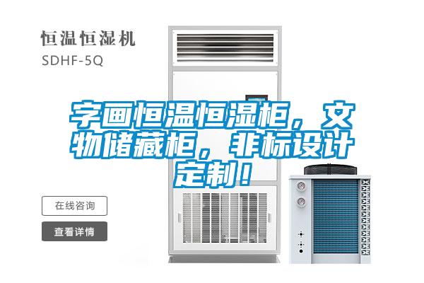 字畫恒溫恒濕柜，文物儲(chǔ)藏柜，非標(biāo)設(shè)計(jì)定制！