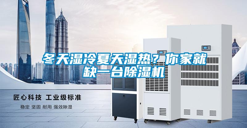 冬天濕冷夏天濕熱？你家就缺一臺除濕機