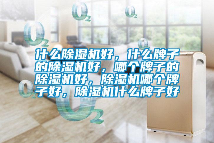 什么除濕機(jī)好，什么牌子的除濕機(jī)好，哪個(gè)牌子的除濕機(jī)好，除濕機(jī)哪個(gè)牌子好，除濕機(jī)什么牌子好
