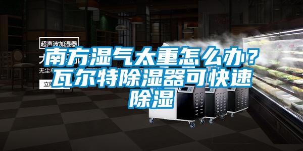 南方濕氣太重怎么辦？瓦爾特除濕器可快速除濕