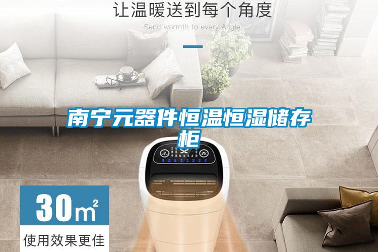 南寧元器件恒溫恒濕儲(chǔ)存柜