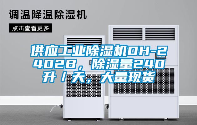 供應(yīng)工業(yè)除濕機(jī)DH-2402B，除濕量240升／天，大量現(xiàn)貨
