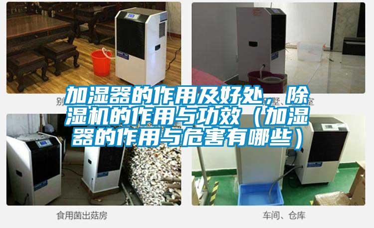 加濕器的作用及好處，除濕機(jī)的作用與功效（加濕器的作用與危害有哪些）
