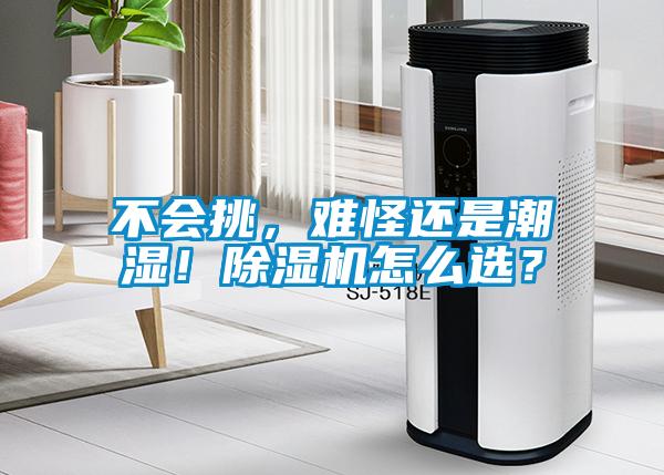 不會(huì)挑，難怪還是潮濕！除濕機(jī)怎么選？