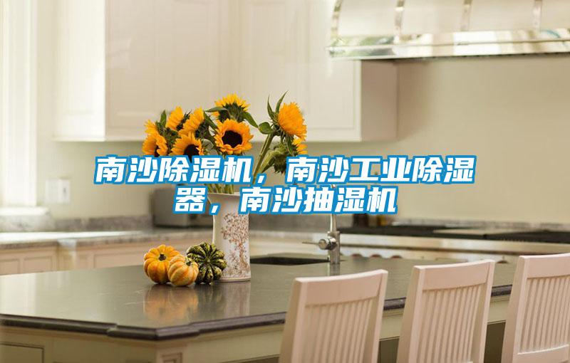 南沙除濕機(jī)，南沙工業(yè)除濕器，南沙抽濕機(jī)