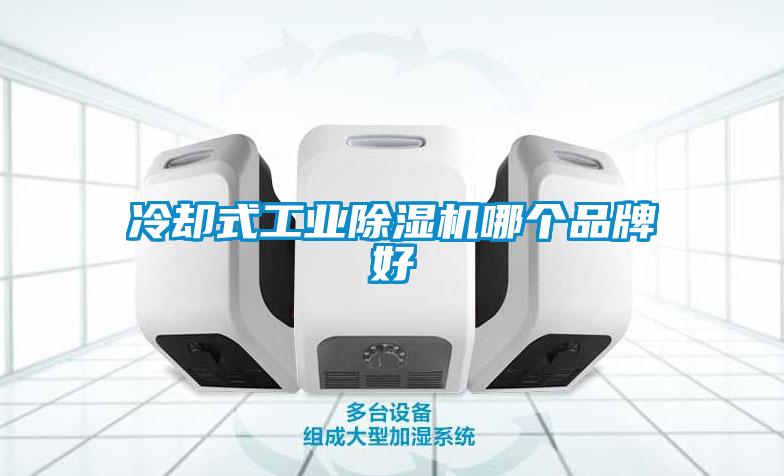 冷卻式工業(yè)除濕機哪個品牌好