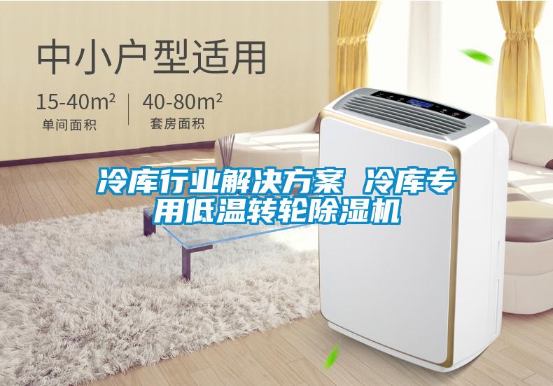 冷庫行業(yè)解決方案 冷庫專用低溫轉(zhuǎn)輪除濕機(jī)