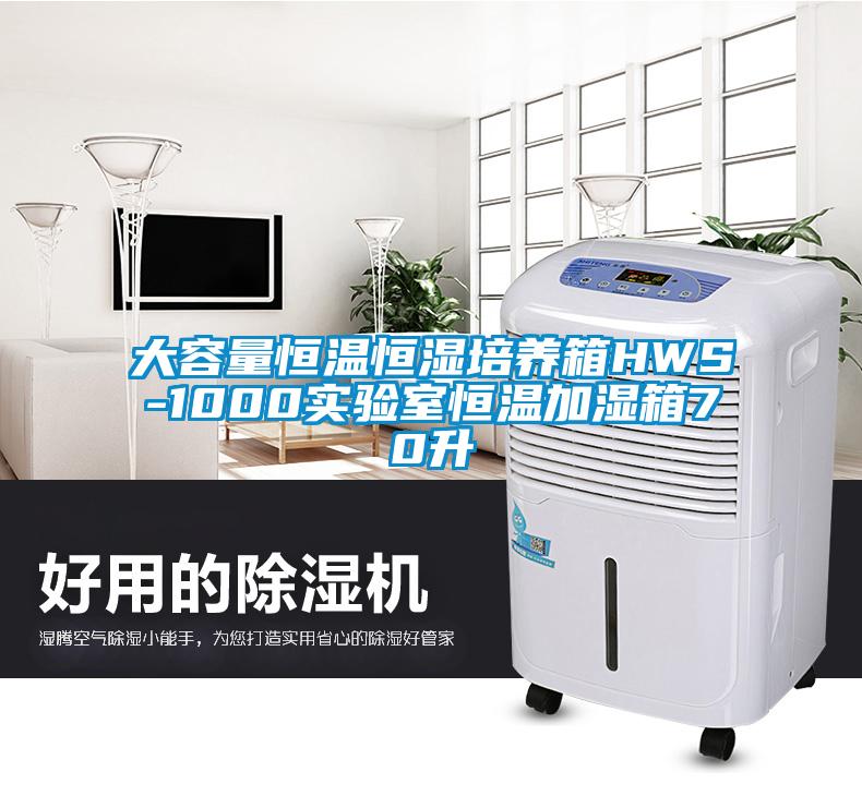 大容量恒溫恒濕培養(yǎng)箱HWS-1000實(shí)驗(yàn)室恒溫加濕箱70升