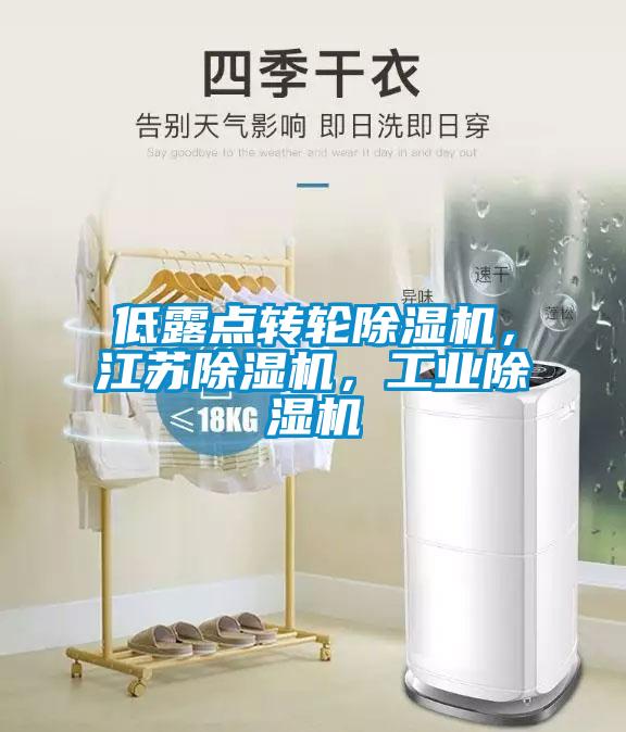低露點轉(zhuǎn)輪除濕機，江蘇除濕機，工業(yè)除濕機