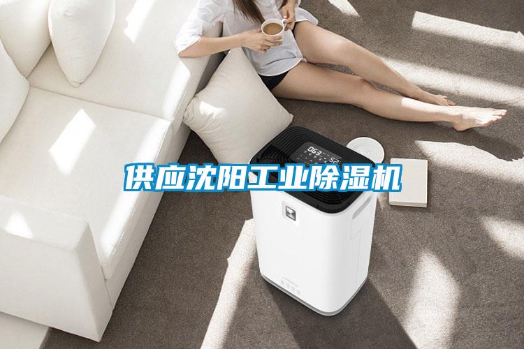 供應(yīng)沈陽工業(yè)除濕機(jī)