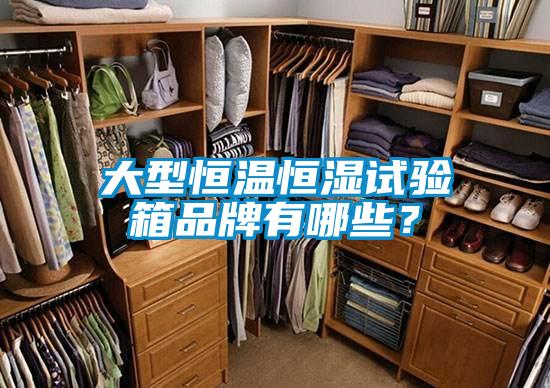 大型恒溫恒濕試驗(yàn)箱品牌有哪些？