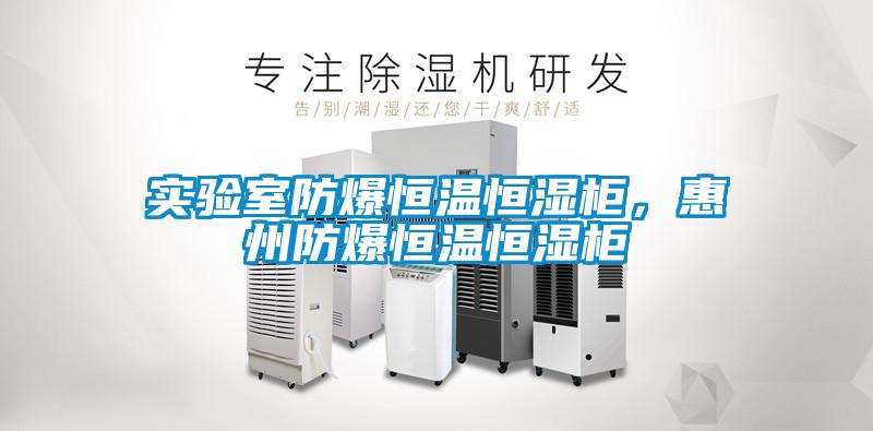實(shí)驗(yàn)室防爆恒溫恒濕柜，惠州防爆恒溫恒濕柜