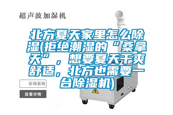 北方夏天家里怎么除濕(拒絕潮濕的“桑拿天”，想要夏天干爽舒適，北方也需要一臺除濕機)