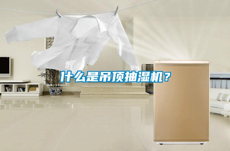 什么是吊頂抽濕機？