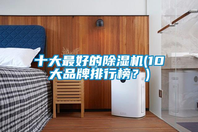 十大最好的除濕機(10大品牌排行榜？)