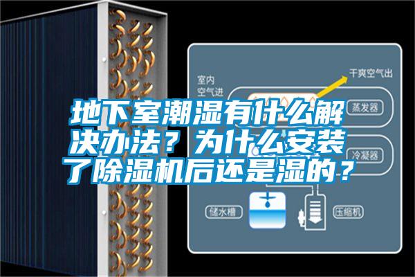 地下室潮濕有什么解決辦法？為什么安裝了除濕機后還是濕的？