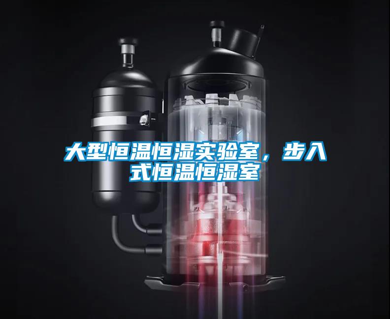 大型恒溫恒濕實(shí)驗(yàn)室，步入式恒溫恒濕室