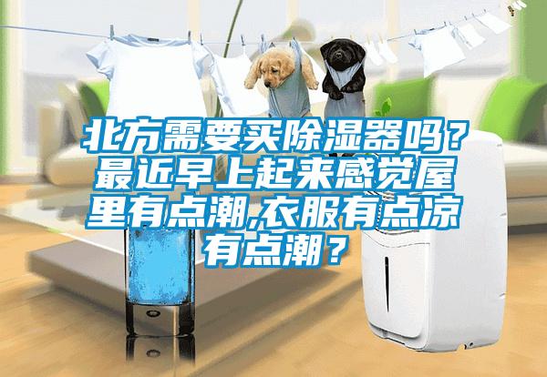 北方需要買除濕器嗎？最近早上起來感覺屋里有點潮,衣服有點涼有點潮？