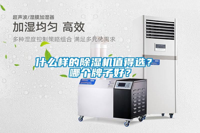 什么樣的除濕機值得選？ 哪個牌子好？