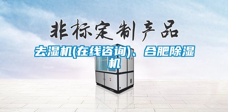 去濕機(在線咨詢)、合肥除濕機