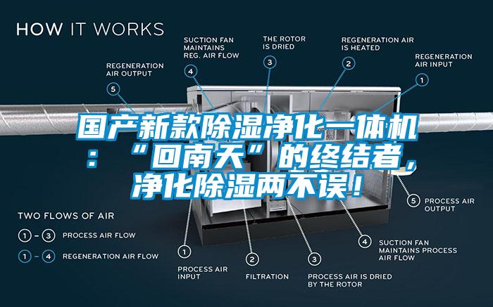 國產(chǎn)新款除濕凈化一體機(jī)：“回南天”的終結(jié)者，凈化除濕兩不誤！