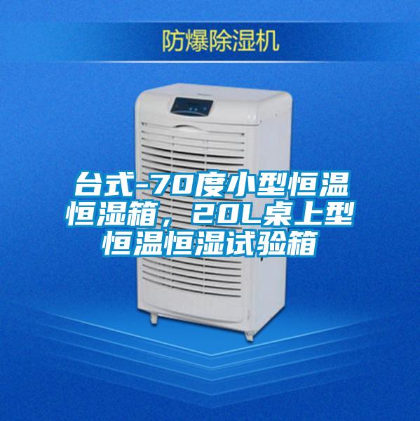 臺式-70度小型恒溫恒濕箱，20L桌上型恒溫恒濕試驗箱