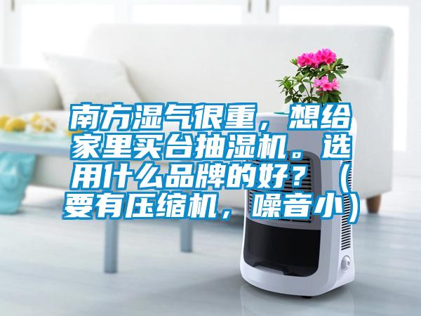 南方濕氣很重，想給家里買臺(tái)抽濕機(jī)。選用什么品牌的好？（要有壓縮機(jī)，噪音?。?/></p>
						    <p style=