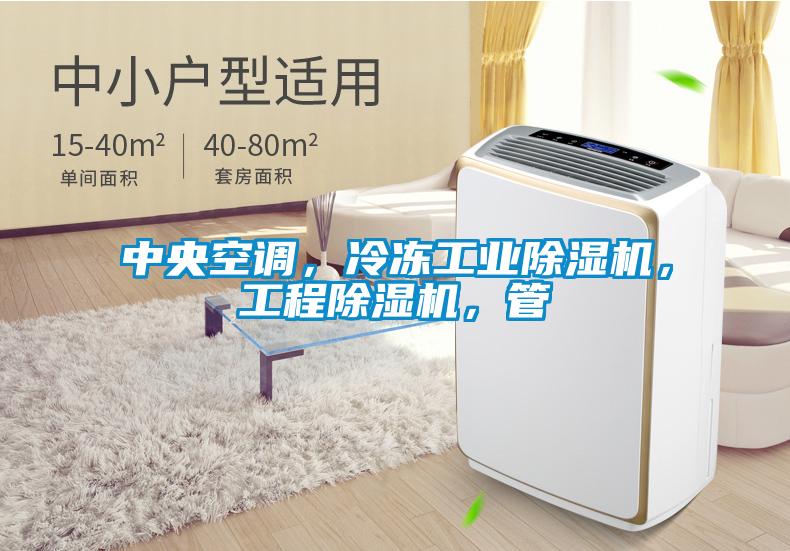 中央空調(diào)，冷凍工業(yè)除濕機(jī)，工程除濕機(jī)，管