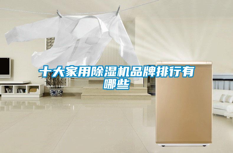 十大家用除濕機(jī)品牌排行有哪些