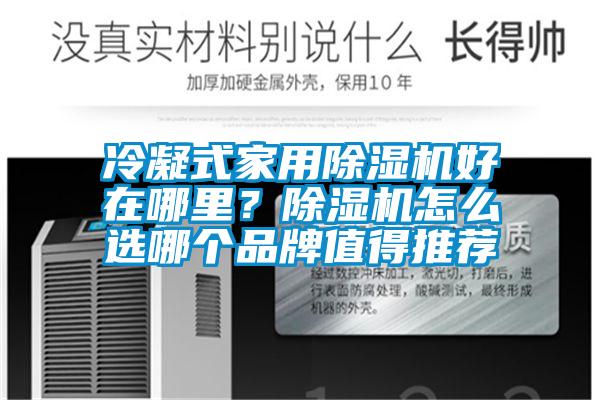 冷凝式家用除濕機好在哪里？除濕機怎么選哪個品牌值得推薦