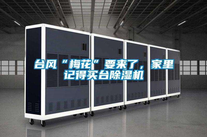 臺風(fēng)“梅花”要來了，家里記得買臺除濕機