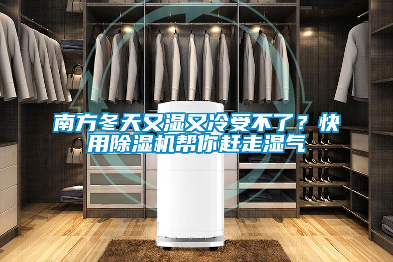 南方冬天又濕又冷受不了?快用除濕機幫你趕走濕氣