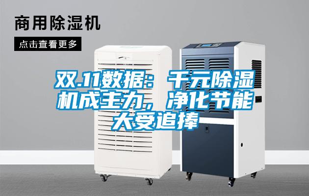 雙.11數(shù)據(jù)：千元除濕機成主力，凈化節(jié)能大受追捧