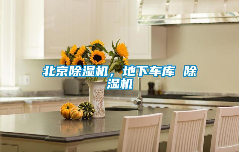 北京除濕機(jī)，地下車庫(kù) 除濕機(jī)