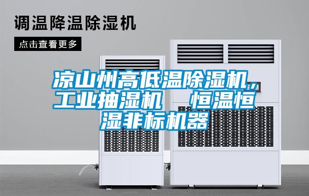 涼山州高低溫除濕機(jī)，工業(yè)抽濕機(jī)  恒溫恒濕非標(biāo)機(jī)器