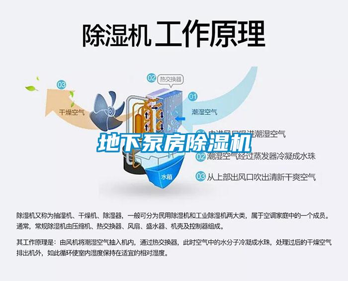 地下泵房除濕機