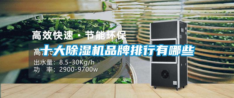 十大除濕機(jī)品牌排行有哪些
