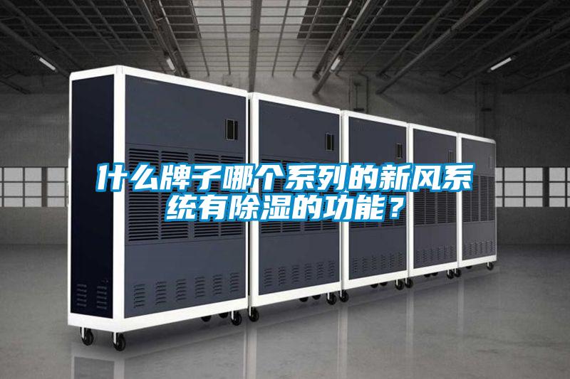 什么牌子哪個系列的新風系統(tǒng)有除濕的功能？
