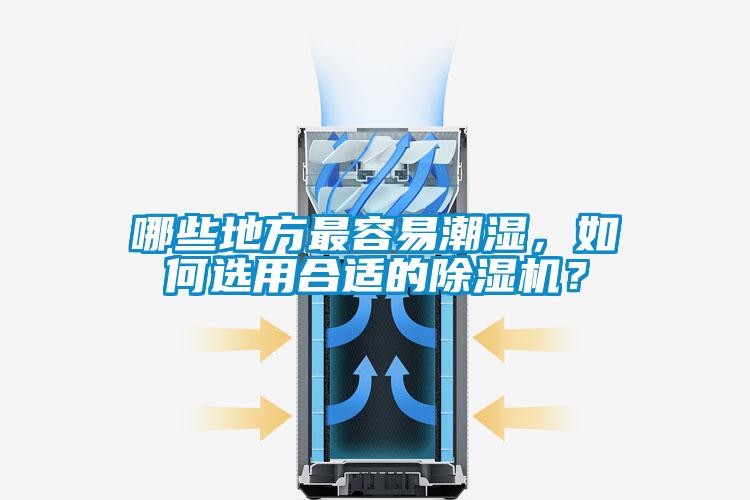 哪些地方最容易潮濕，如何選用合適的除濕機？