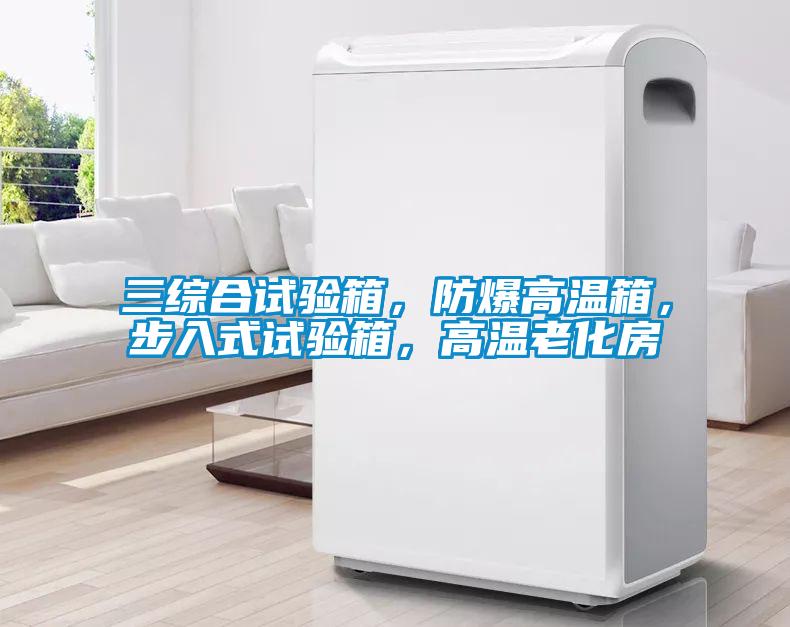 三綜合試驗(yàn)箱，防爆高溫箱，步入式試驗(yàn)箱，高溫老化房