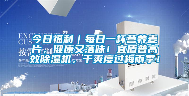 今日福利｜每日一杯營(yíng)養(yǎng)麥片，健康又落味！宜盾普高效除濕機(jī)，干爽度過(guò)梅雨季！